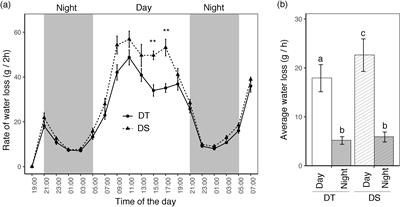 Drought induced metabolic shifts and water loss mechanisms in canola: role of cysteine, phenylalanine and aspartic acid